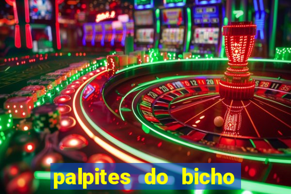 palpites do bicho no celular